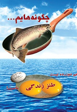 چگونه هایم